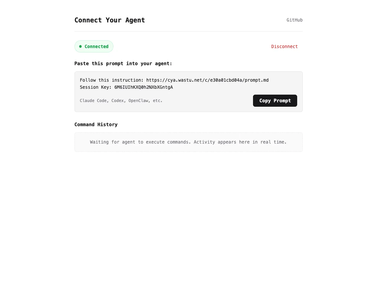 Connected session with agent prompt